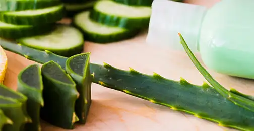 Can Aloe Vera Extract Powder help with skin conditions?